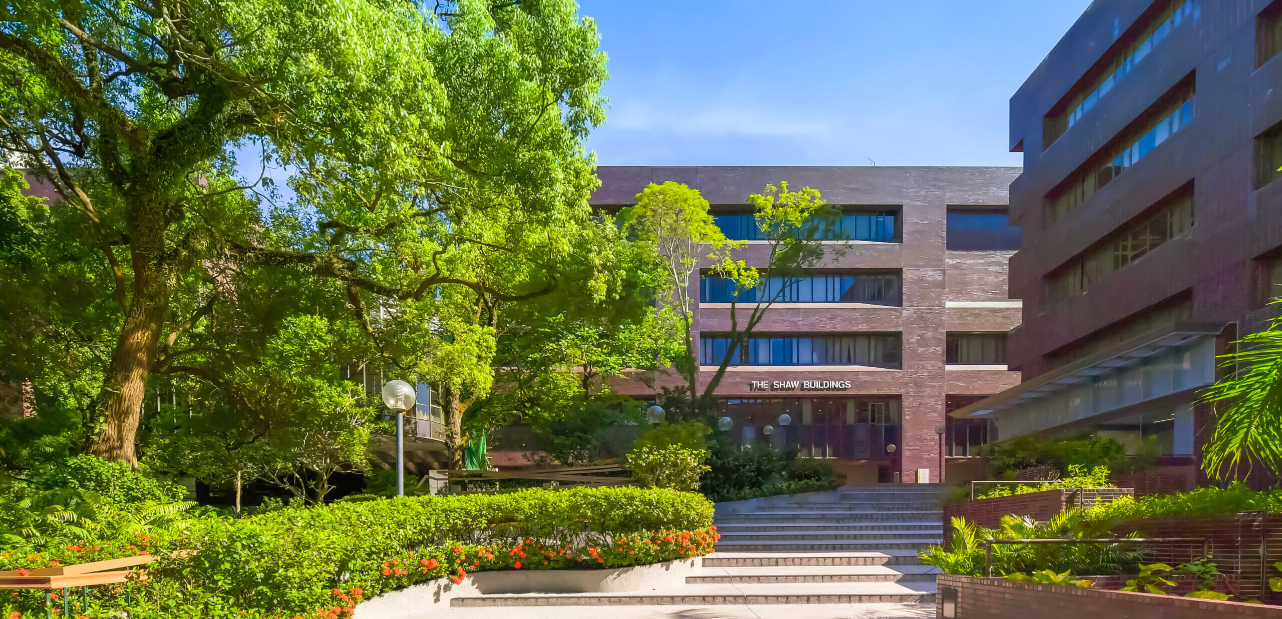 HealtheSteps Coach Training